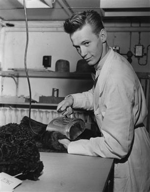 Elev i NK-skolan, Kjell Franzon, i pälsateljén, stryker en päls.